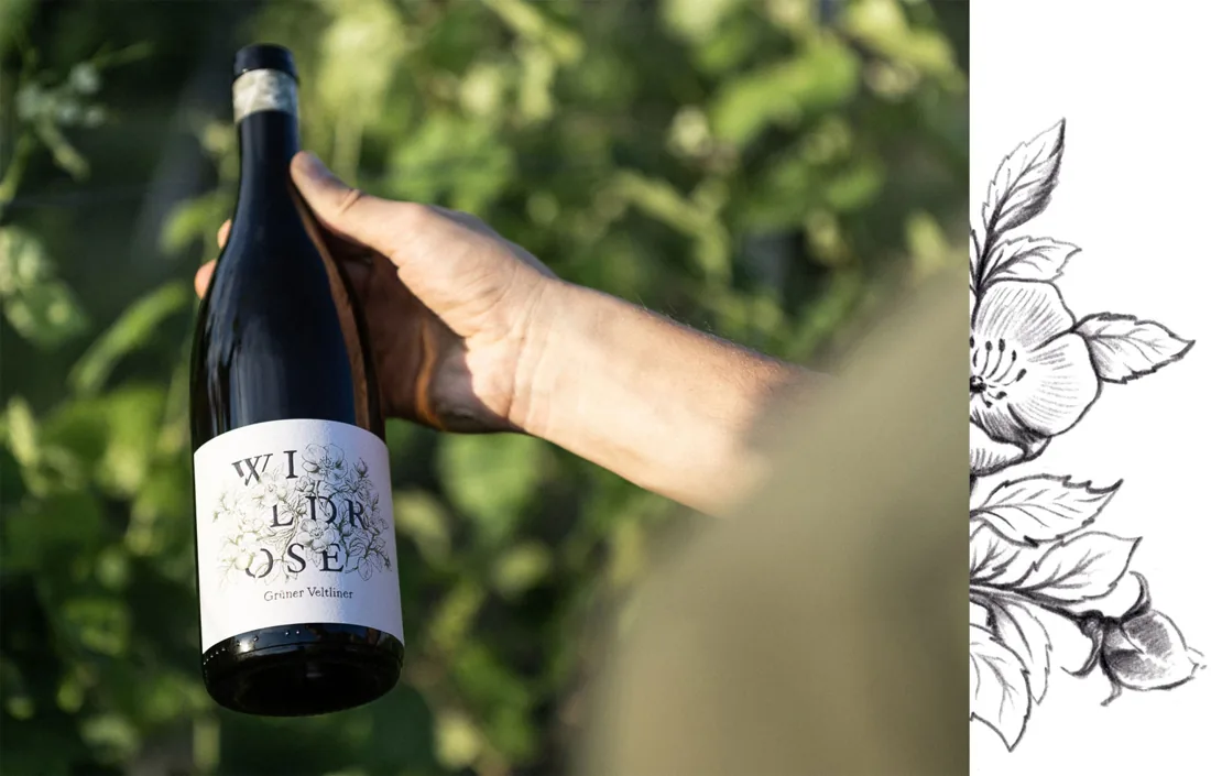 Grüner Veltliner