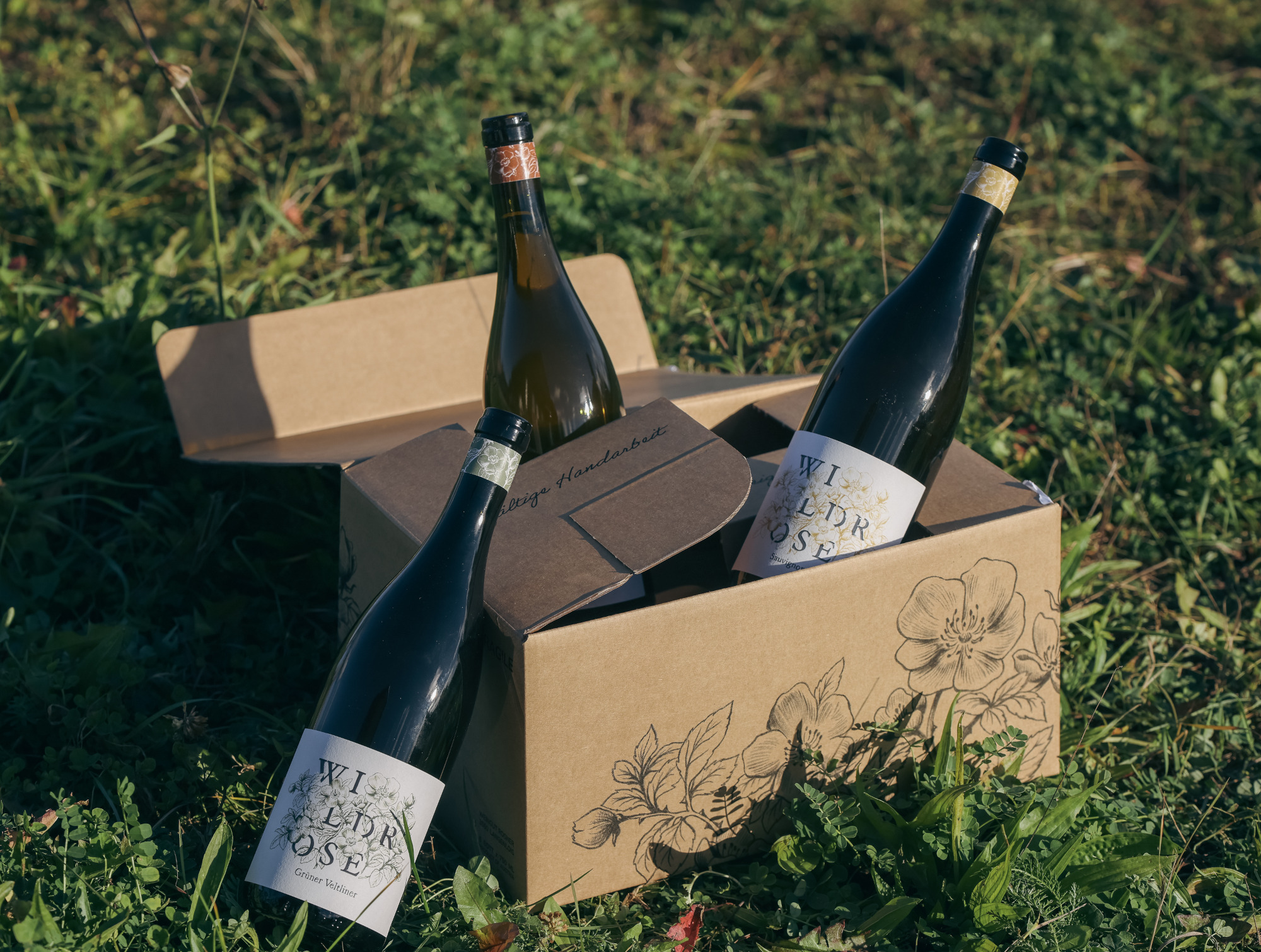 Wildrose Weine – Impression aus dem Weingut