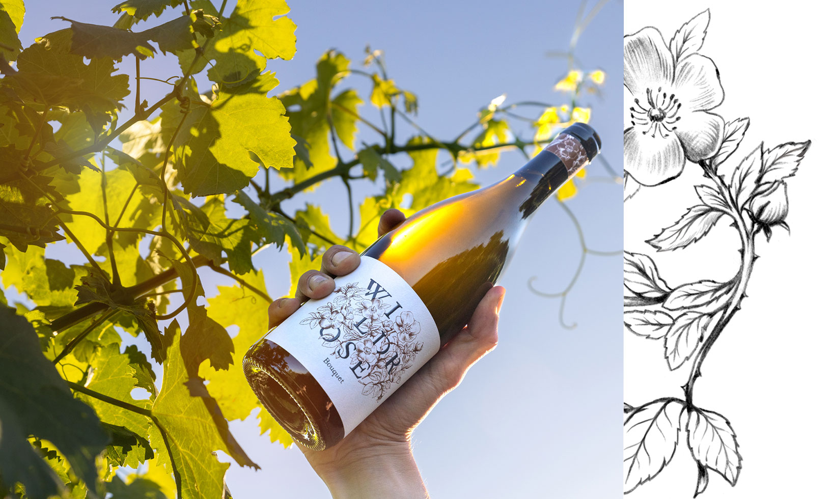 – Wines Wildrose Natural Caring Crafting